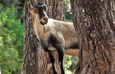 Alojamientos Loma de Mariangela - Foto 40