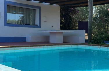 Courela do Monte Novo - Photo 7