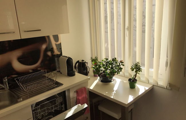 Apartment 1010 - Foto 4