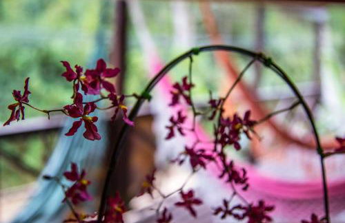 Morada dos Prass - Photo 7