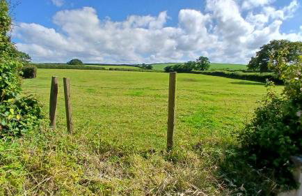 Hazel Cottage, Frithelstock - Foto 9