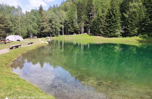 La Norma en Terrasse - Foto 16