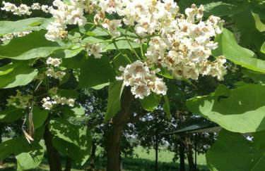 Agriturismo Flabeto - Foto 38