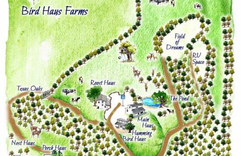 Farm Stay, hot tub, views, golf cart rental - Foto 29