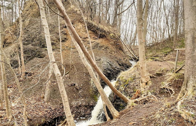 4 Person Holiday Home in Granna - Photo 19