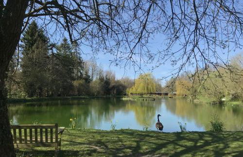 Willowbank Lodges - Foto 43