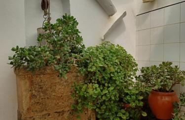 Casa en Ferreries - Foto 37