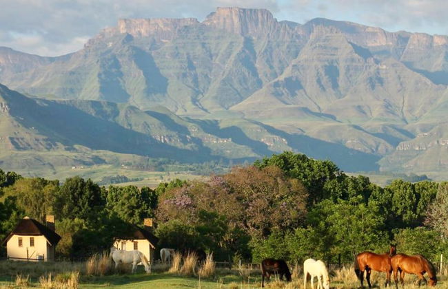 Ardmore Guest Farm - Photo 1