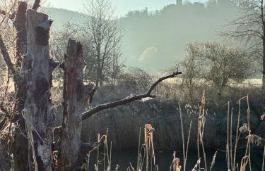 Ferienwohnungen Lausbuben & Zicken - im grünen Herzen Deutschlands - Foto 18