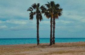 Apartamento playa Moncofa-Chilches - Foto 6