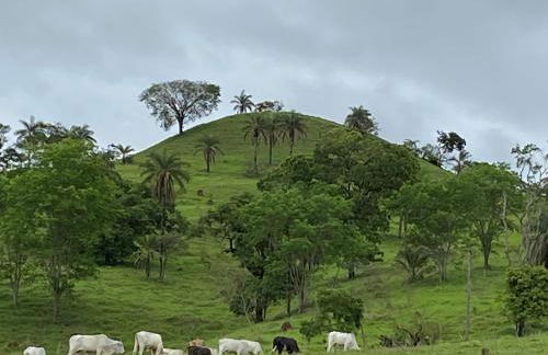 Cabana Terra frente para rio - Photo 15