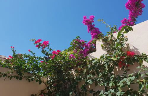 Casa di a Murza vue citadelle Rdc - Foto 16