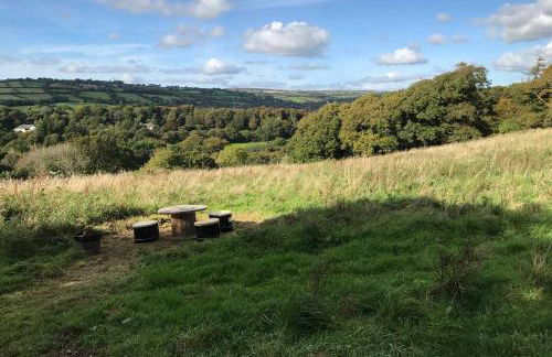 Stags View,Unique eco cabin, Dartmoor views - Foto 28