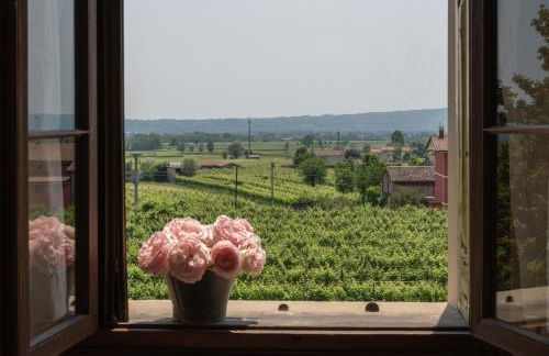 Fiori&vigne di Cecilia Marcon - Foto 7