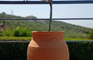 Cozy Small Smart Villa with Private Pool Mikri Mantineia Kalamata - Foto 39