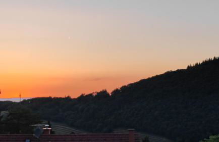 Park-Appartements - Foto 41