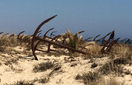 Pedras del Rei, Nature and Beach Apartment - Foto 52