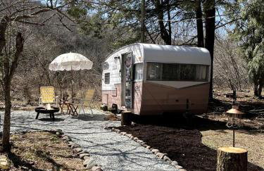Vintage Shasta Camper for the best of NYC Glamping - Foto 2