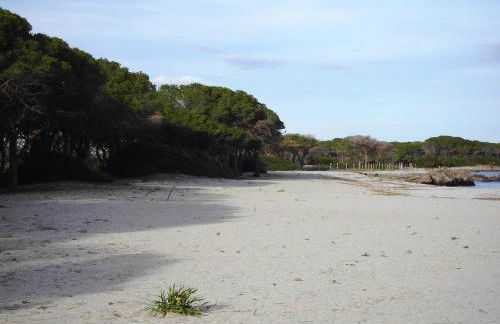 Casetta sul Mare - Foto 7