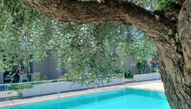 Thassos OLIVIA RESORT - Foto 5, Garden, Garden view