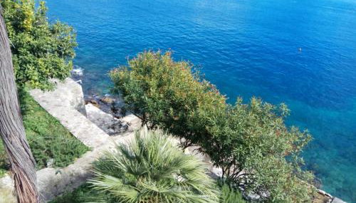 Mljet 4You - Beach House - Photo 1