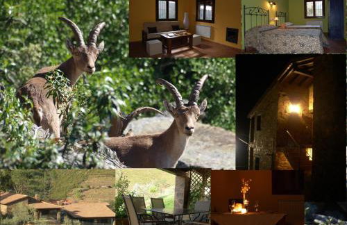 Ramajal Rural - Foto 8