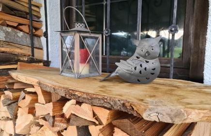 Urlaub beim Filmemacher Thomas Junker - Foto 4