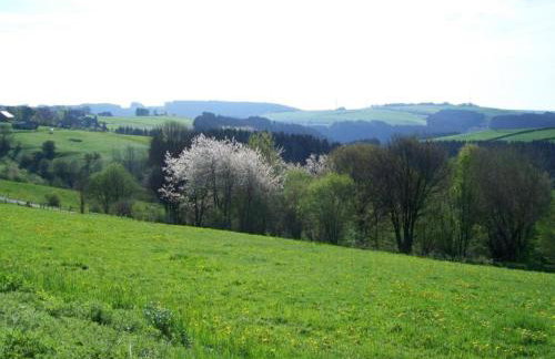 Hellenthal Family Retreat - Photo 70