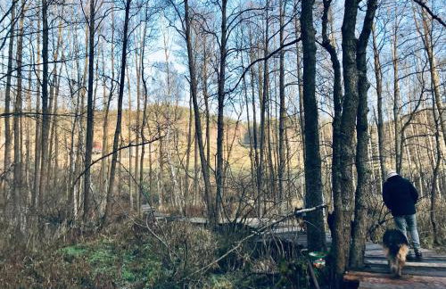 Chata nad Dziką Orlicą z jacuzzi - Foto 60