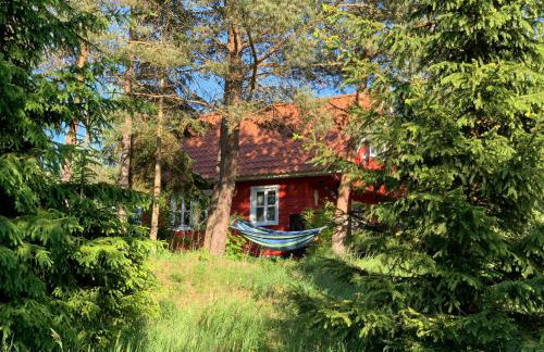 Święty Spokój Łąka i Woda - Foto 77