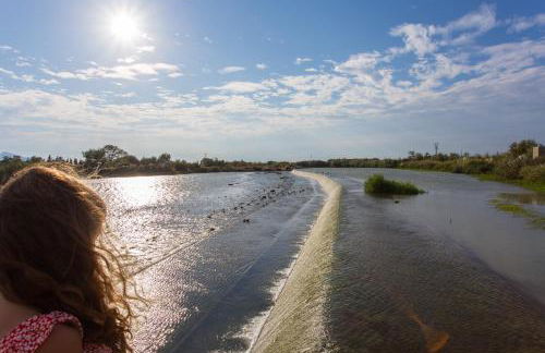 Los Olivos Apartment Cullera - Photo 47