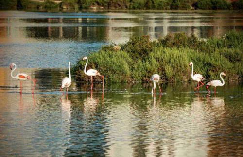 Off-grid Luxury Villa with Tikibar by the pool. - Photo 14