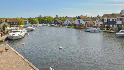 No 1 Fox Burrow-Uk44306 - Foto 5