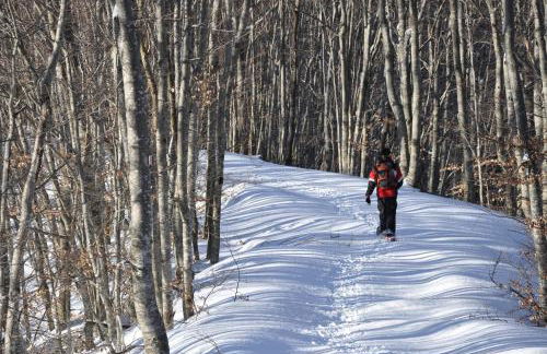 Tana Degli Orsi - Foto 7