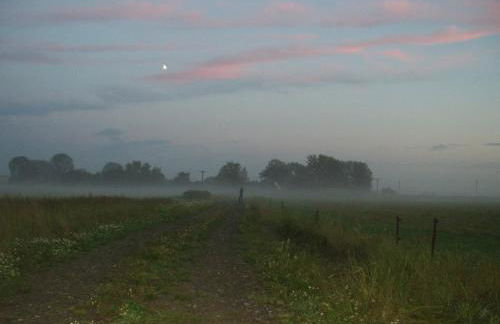 Hofboddenblick - Foto 26