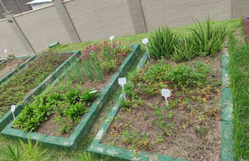 Apartamento na Ponta Nêgra Melhor Vista Ultimo Andar - Foto 13