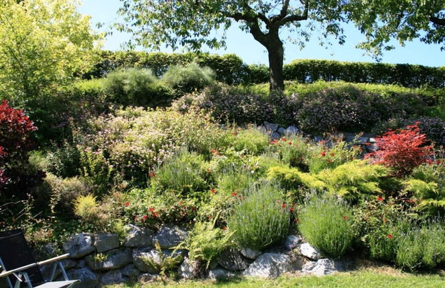 Apartment in Willingen Near Ski Lift - Photo 12