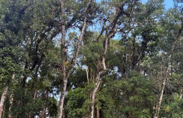 Chácara Canto do Galo - Foto 16