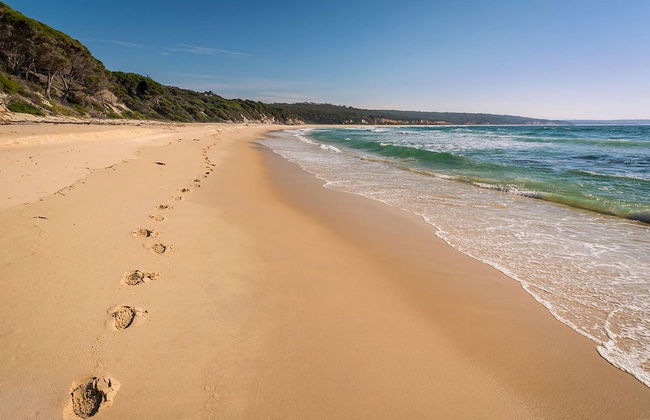 Catlins Newhaven Holiday Park - Foto 27