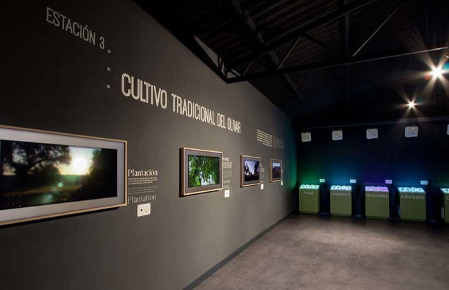 Visita a la finca La Pontezuela con cata de aceites - Foto 7