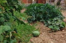 Stavlos Country House - Photo 31