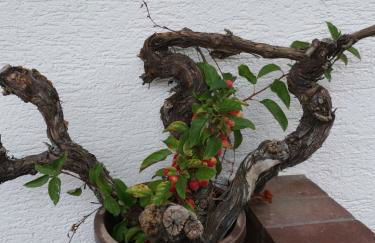 (H)Auszeit - Foto 25