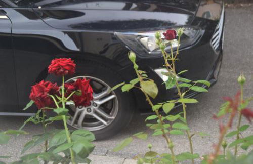 GraceHomes - Garage, Ventilator, Free Coffee, Airport, Messe, Stuttgart, WiFi up to 6 Guests - Foto 19