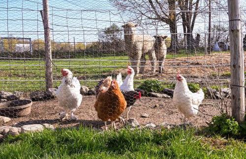 Upstate New York Vacation Rental Near Cooperstown! - Foto 23