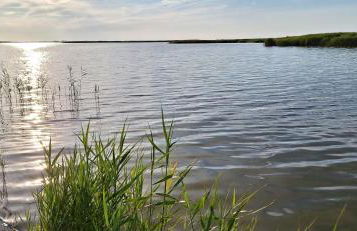 Ferienhaus An der Heide - Foto 6