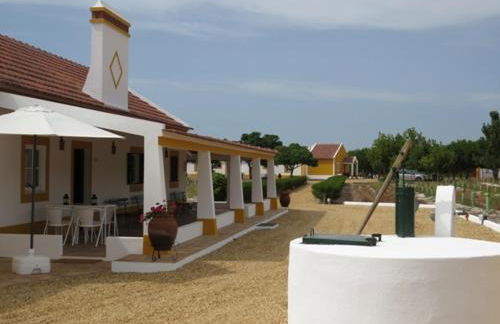 Monte do Brejinho de Água - Foto 40