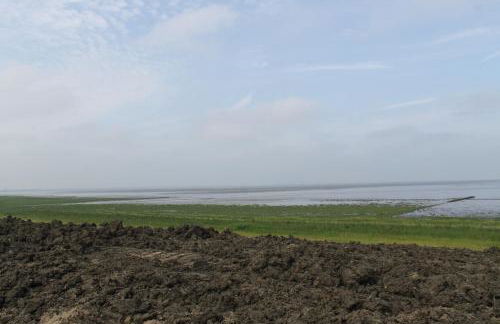 Deichstube - Foto 14