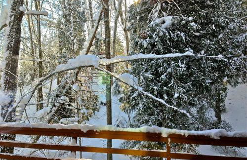 Secluded Waterfront Cabin Rental on Lake Superior near Red Cliff, Wisconsin - Foto 75