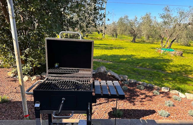 Podere Santa Maria - Foto 30