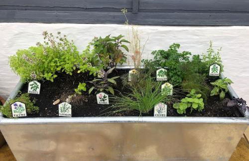 *Stunning* The Botanist Rest Ventnor IOW - Foto 41